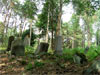 Tykocin, Grabarka, Bohoniki, Kruszyniany, Hajnowka