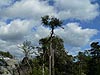 Las Rocas Errantes: Parque Nacional de los Montes Stolowe