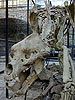 La cueva del Oso, cerca de Kletno