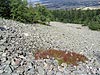 Las monta&ntilde;as más viejas de Polonia: Los Montes Swietokrzyskie